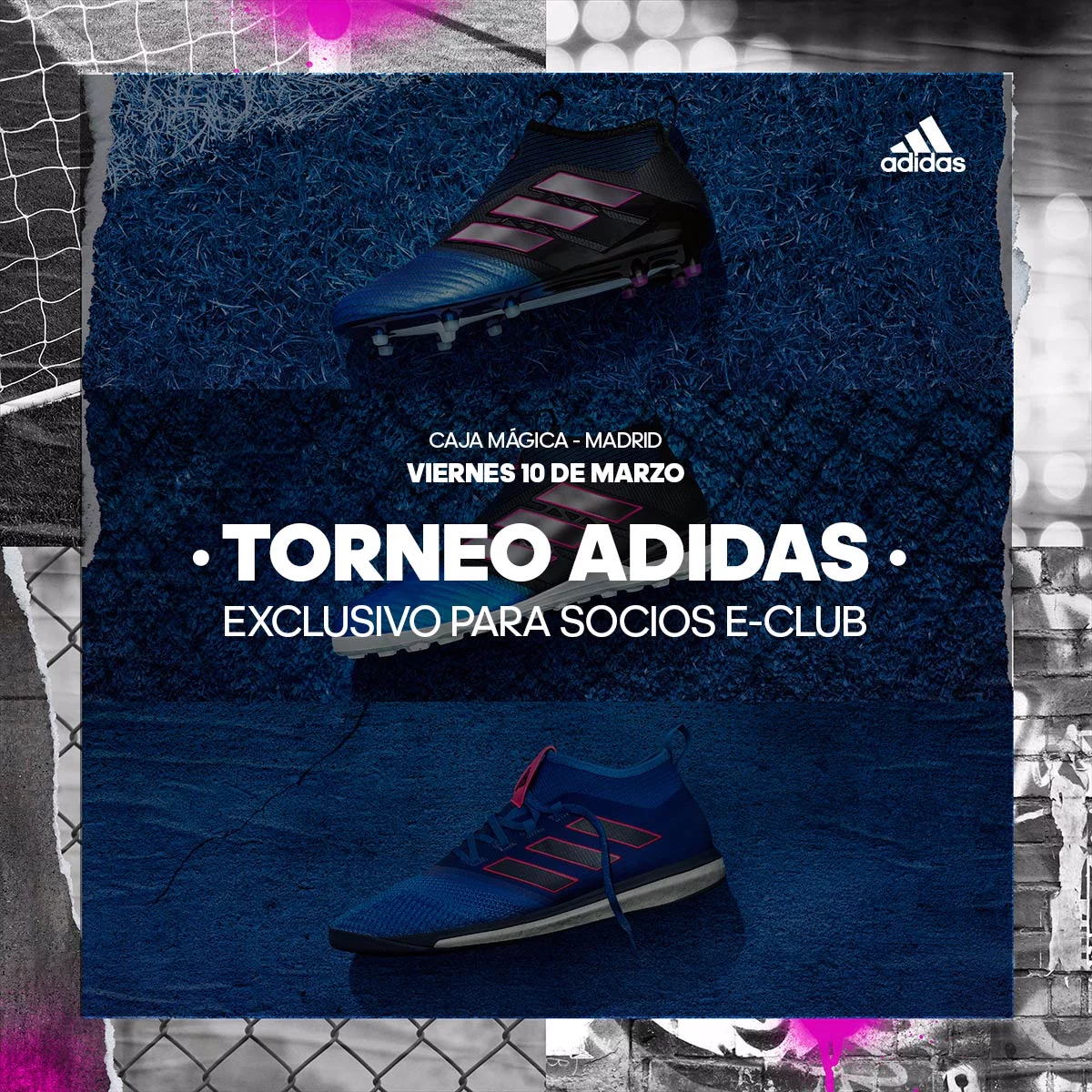 post card torneo adidas.webp